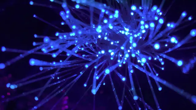 Technology & Innovation Facts